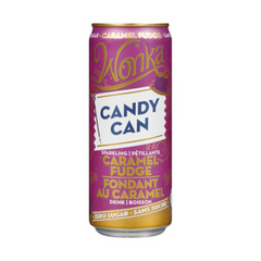 Candy Can Sparkling Caramel Fudge Drink Wonka 330ml